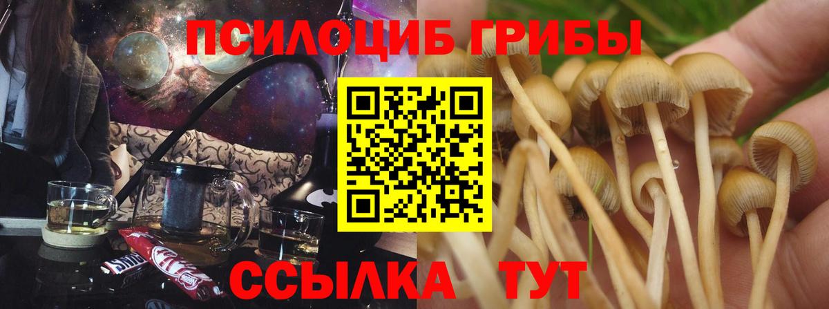 Псилоцибиновые грибы MAGIC MUSHROOMS  Вход с VPN  Фурманов 