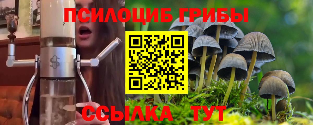 Галлюциногенные грибы MAGIC MUSHROOMS Фурманов